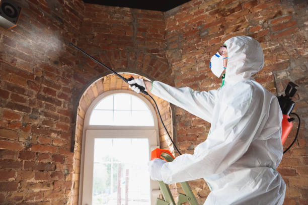  Buzzards Bay, MA Mold Removal Services Pros