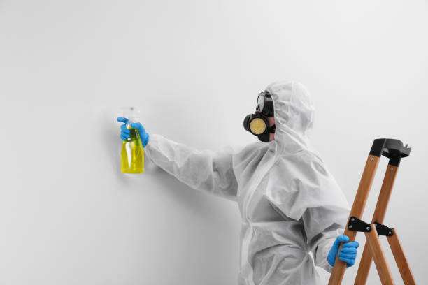 Best Biohazard Mold Removal  in Buzzards Bay, MA